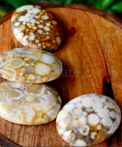 Wholesale King Cobra Jasper Palm Stones Pocket Stones