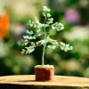 Green Fluorite Crystals Small Crystal Chips Gemstone Mineral Tree